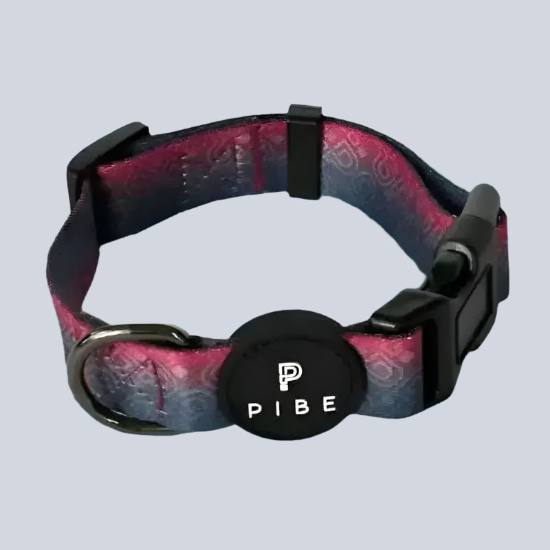 Pup Collar & Leash Vacation Beach Ocean Florida Spring Break
