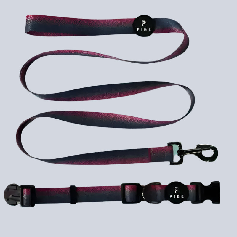 Pup Collar & Leash Vacation Beach Ocean Florida Spring Break